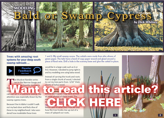 Swamp cypress - Model trains - MRH article September 2012